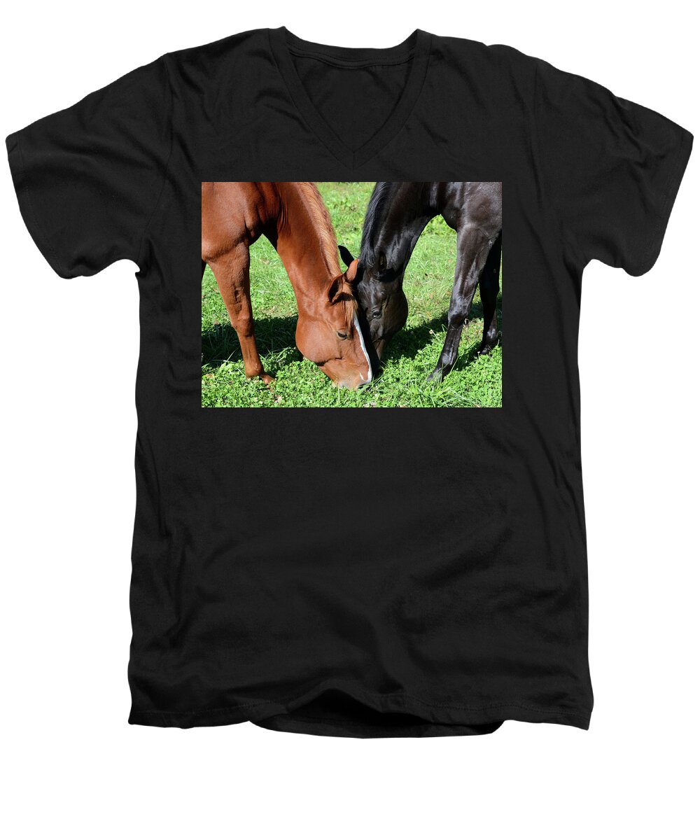 Horse Men's V-Neck T-Shirt featuring the photograph Best of Friends by Julia Wilcox