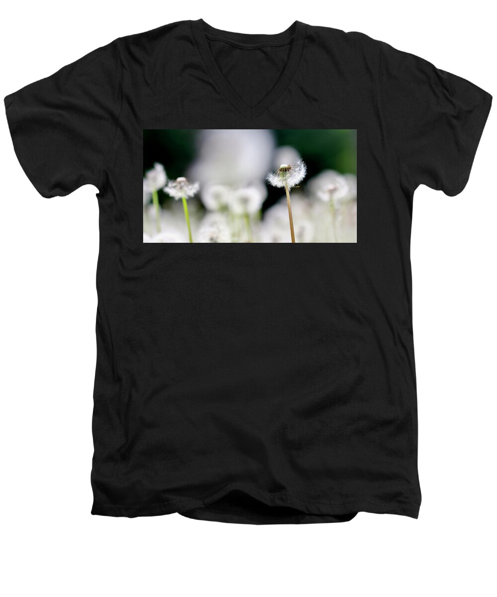 Photograph Men's V-Neck T-Shirt featuring the photograph Hold On to Your Dreams by Tracy Male