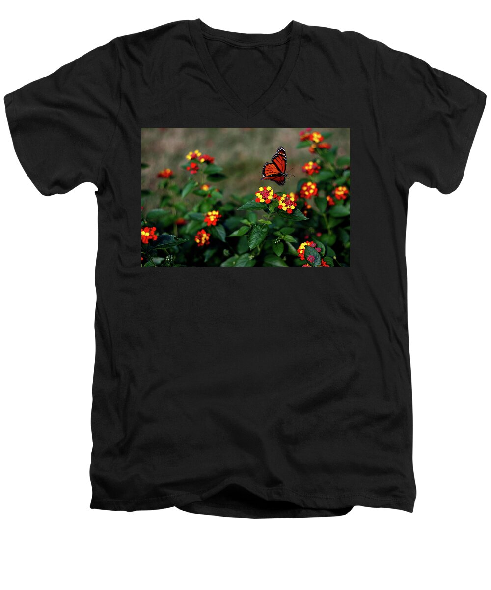 Flying Men's V-Neck T-Shirt featuring the photograph Monarch Flyby - September 2023 by Joseph A Langley