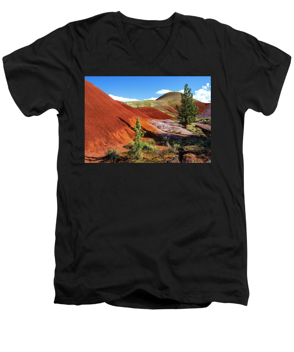 Fine Art Men's V-Neck T-Shirt featuring the photograph Painted Cove by Greg Sigrist