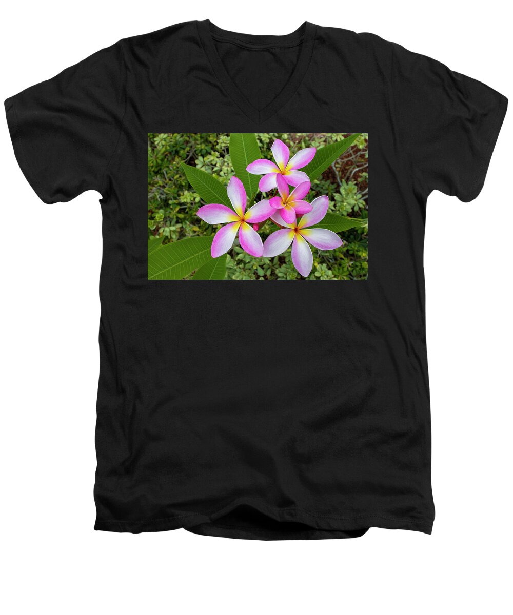 Flower Men's V-Neck T-Shirt featuring the photograph Pink Plumeria Flower by Blair Damson