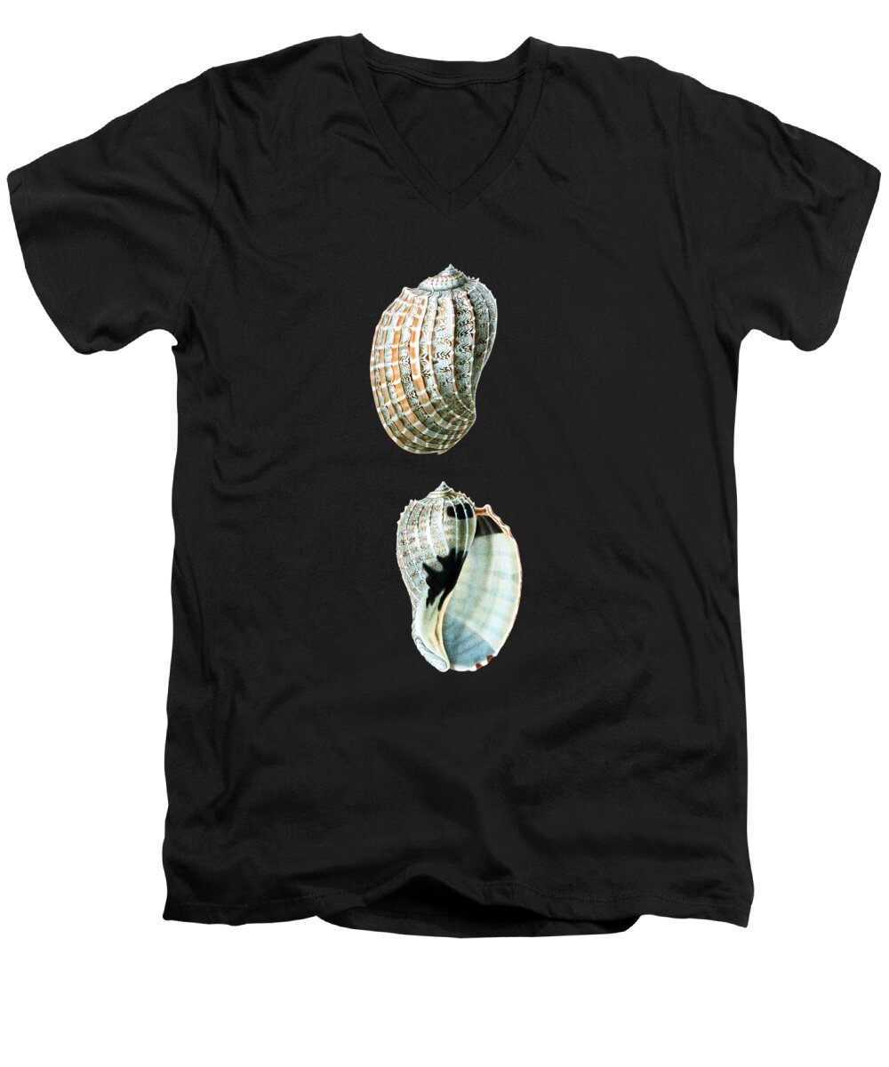 Seashell Men's V-Neck T-Shirt featuring the mixed media Sea Shells Chart by Madame Memento