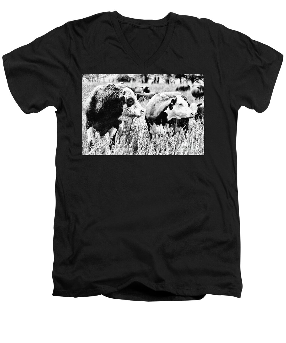 Simmental Bull Men's V-Neck T-Shirt featuring the photograph Simmental Bull 2 by Larry Campbell