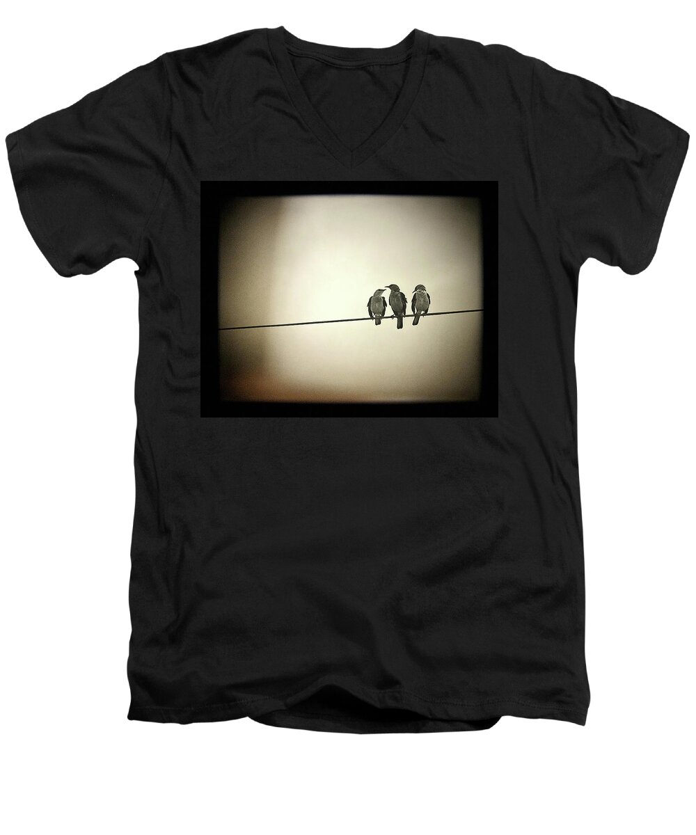 Birds Men's V-Neck T-Shirt featuring the photograph Three Little Birds by Trish Mistric