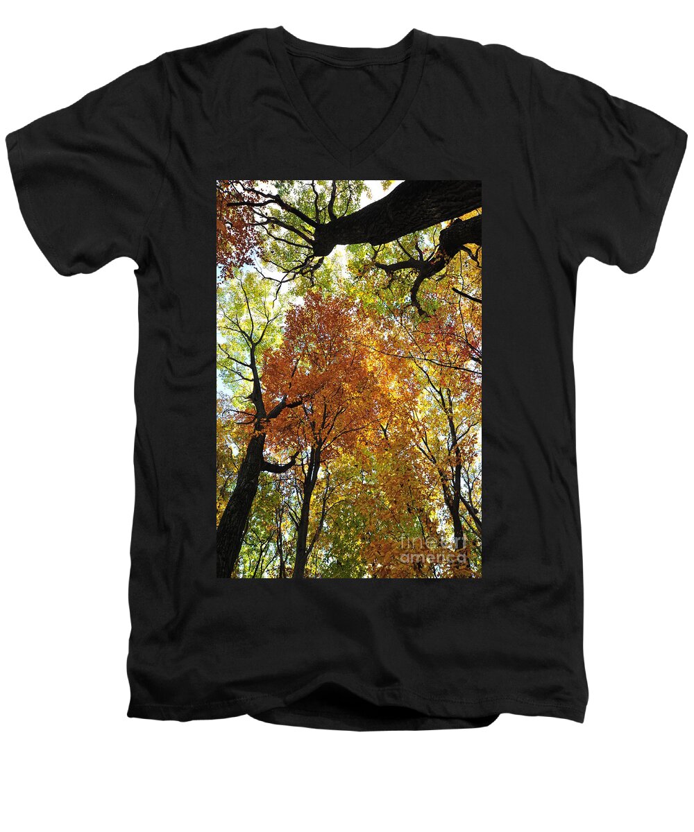 Autumn Men's V-Neck T-Shirt featuring the photograph Reach for the Sky by Terri Gostola