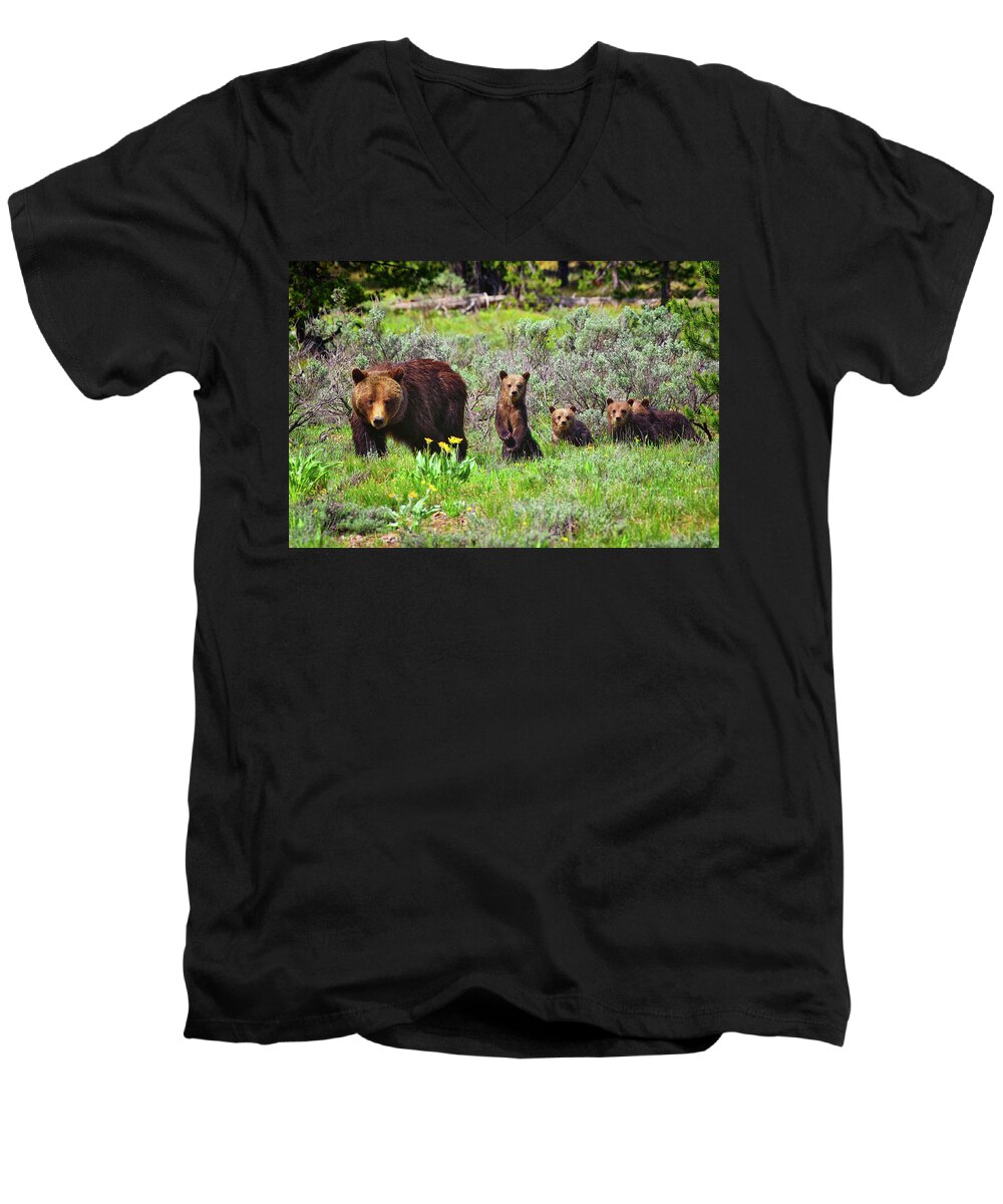 Grizzly 399 Men's V-Neck T-Shirt featuring the photograph Where Are We Going Mom? by Greg Norrell