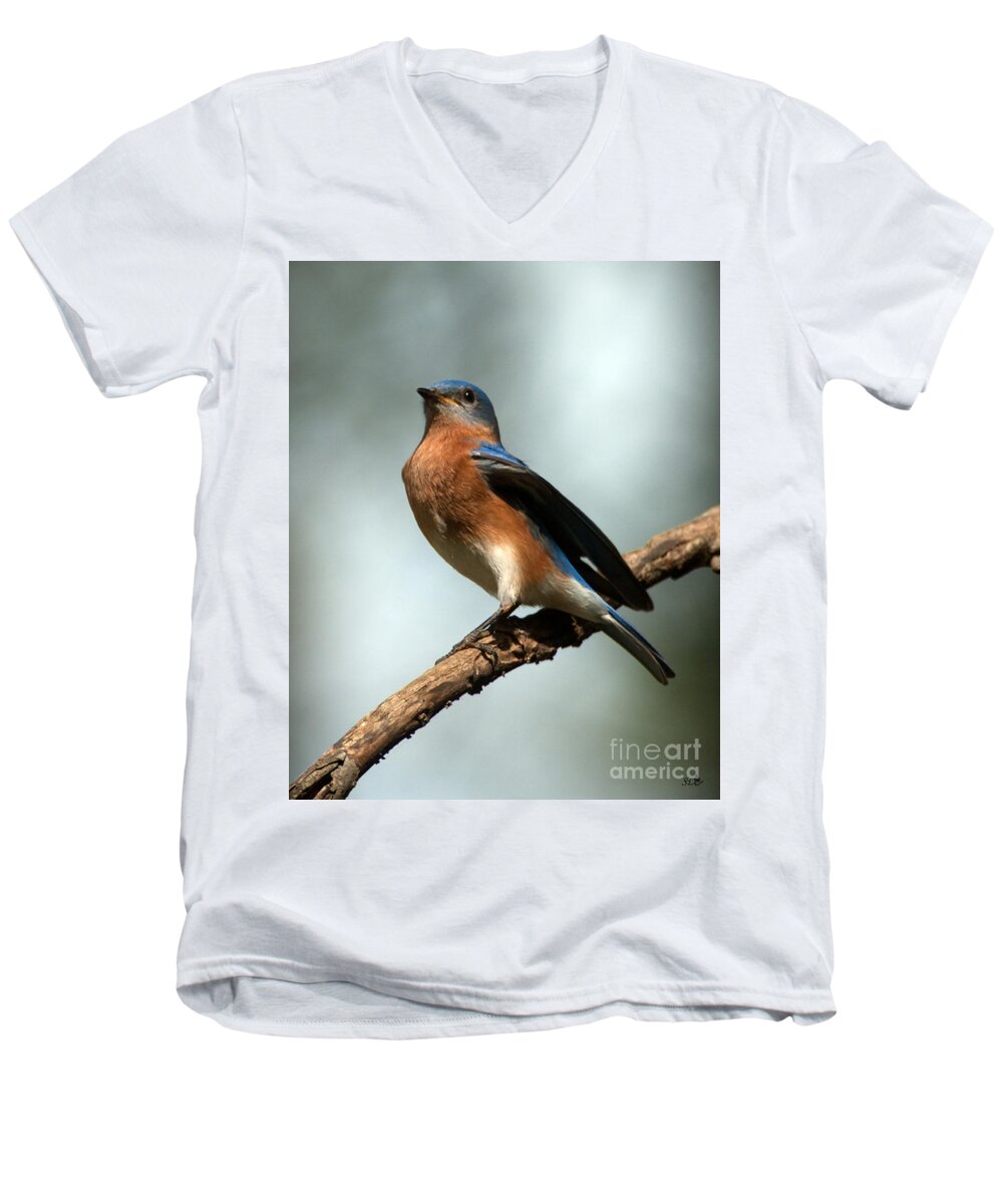 Eastern Bluebird Men's V-Neck T-Shirt featuring the photograph Regal -Bluebird by Sandra Clark
