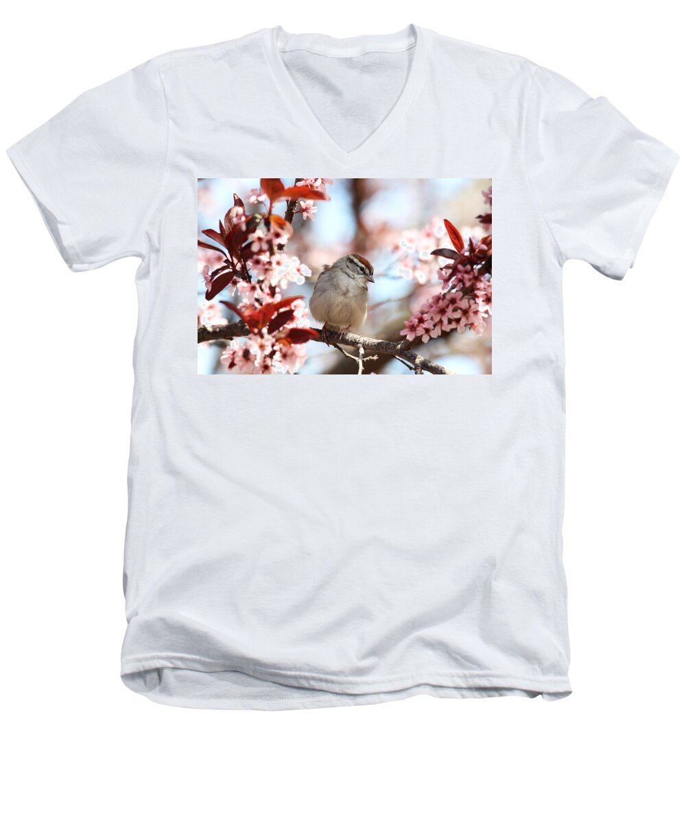 Sparrow Men's V-Neck T-Shirt featuring the photograph Beautiful Sparrow by Trina Ansel