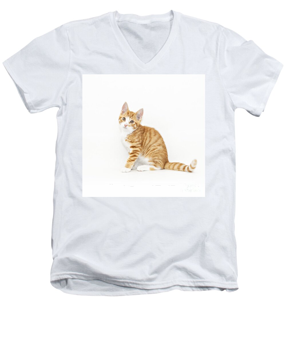 Kitten Men's V-Neck T-Shirt featuring the photograph Stripy red kitten sitting down #1 by Sophie McAulay