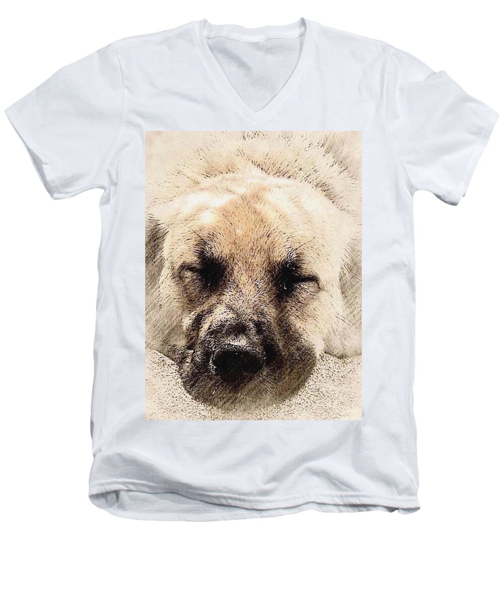  Dog Men's V-Neck T-Shirt featuring the mixed media Snooze by Binka Kirova