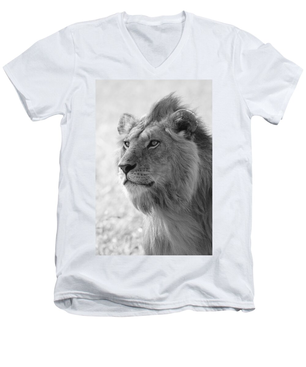 Lion Men's V-Neck T-Shirt featuring the photograph Golden Boy by Michele Burgess