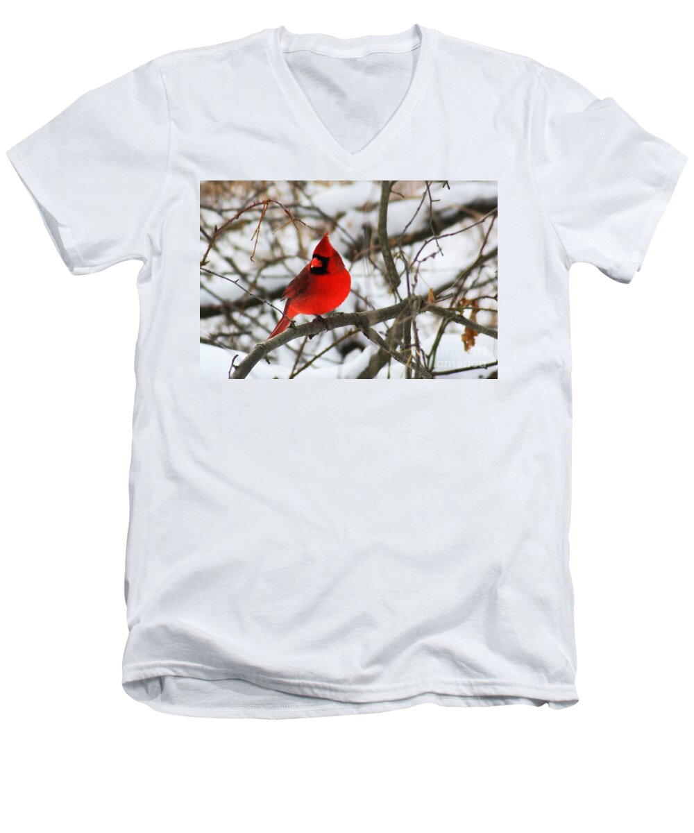 Alyce Taylor Men's V-Neck T-Shirt featuring the photograph A Little Bit of Colour by Alyce Taylor