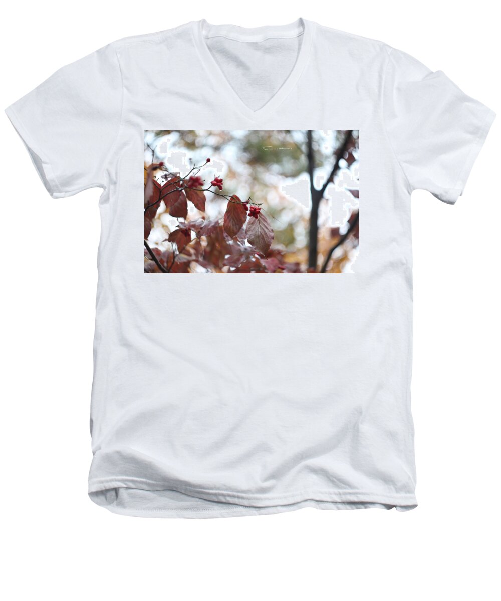  Men's V-Neck T-Shirt featuring the painting After rain 2 by Hae Kim