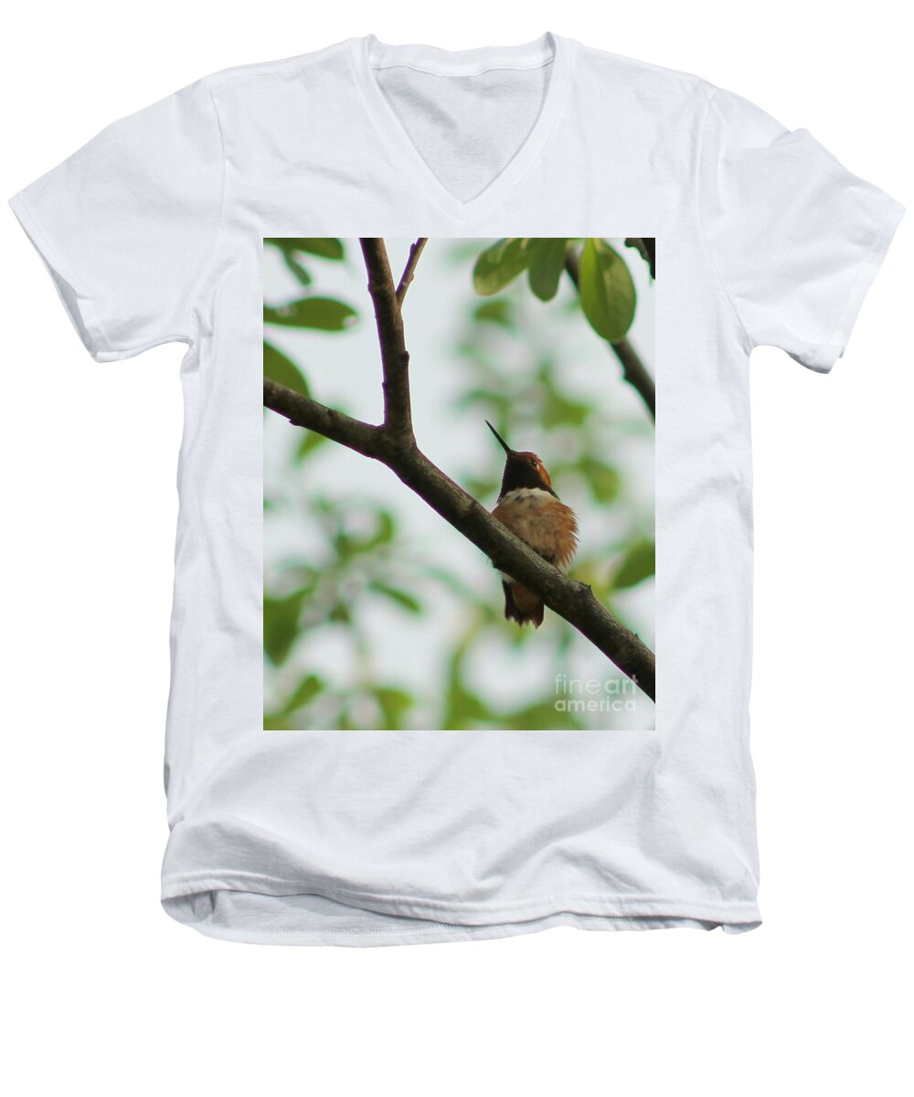 Hummingbird Men's V-Neck T-Shirt featuring the photograph At Rest by Leone Lund