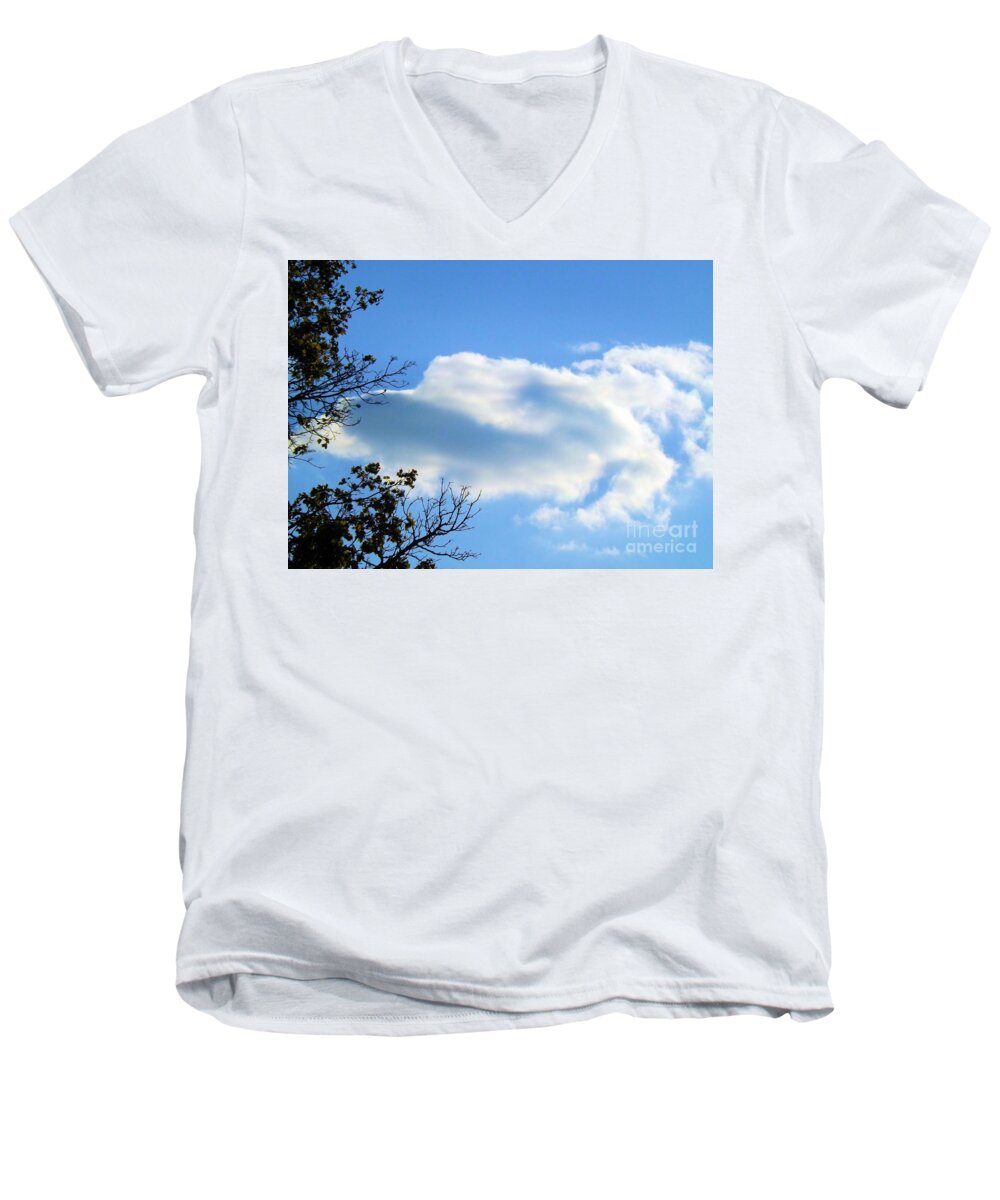 Sky Men's V-Neck T-Shirt featuring the photograph Beautiful Day by Robyn King