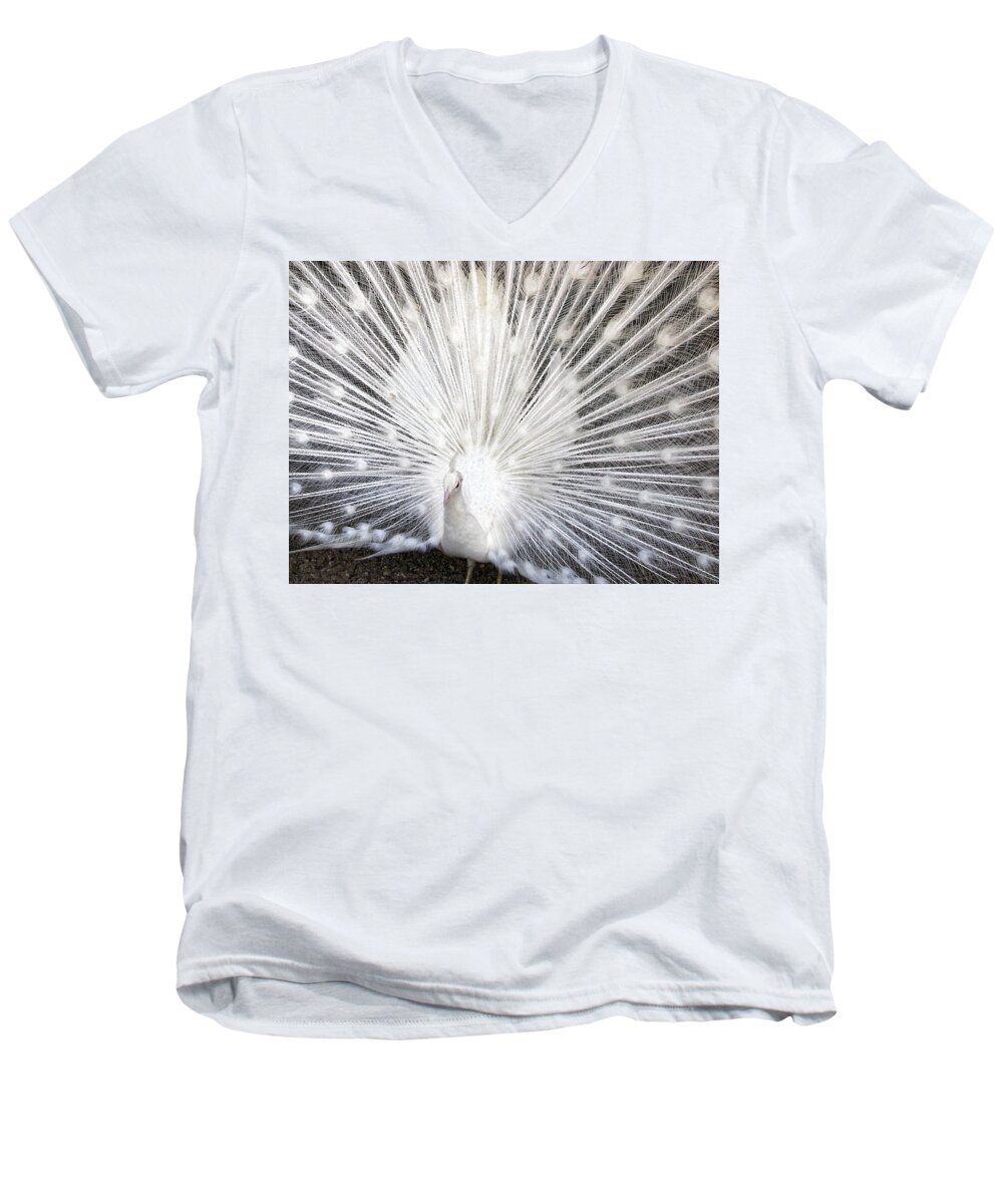 Peacock Men's V-Neck T-Shirt featuring the photograph Booya by Tammy Espino
