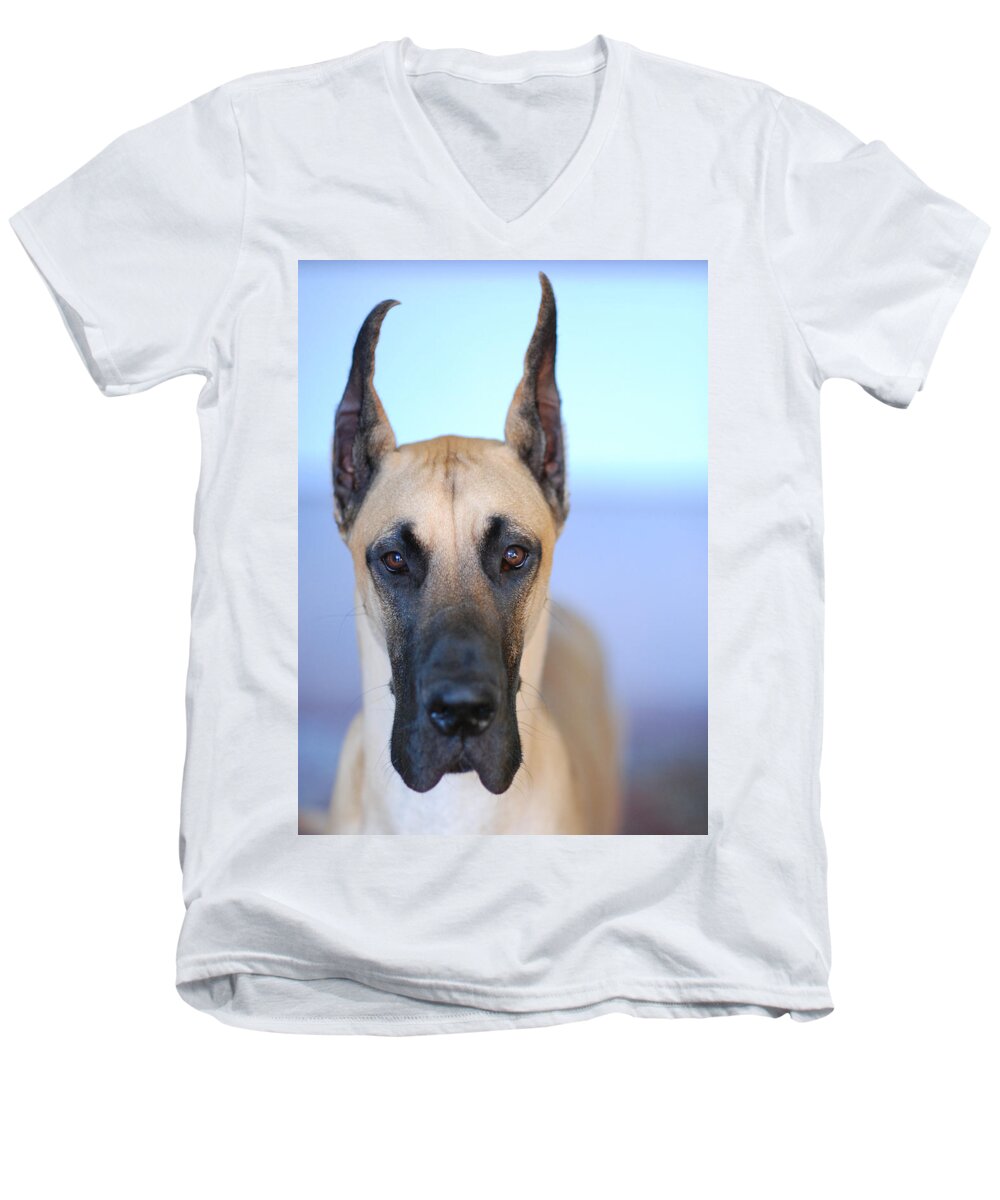 Animal Men's V-Neck T-Shirt featuring the photograph Cappy by Lisa Phillips