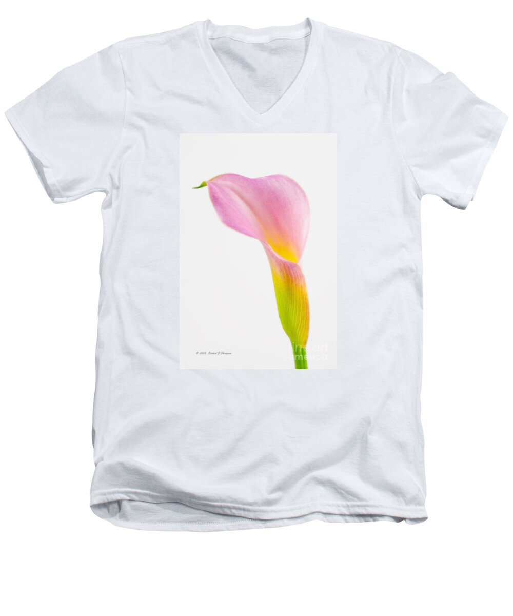 Calla Lily; Flower; Plant; Bloom; Vertical; Single; Photo; Photography; Colorful; Pink; Yellow; Green Men's V-Neck T-Shirt featuring the photograph Colorful Calla Lily Flower by Richard J Thompson 