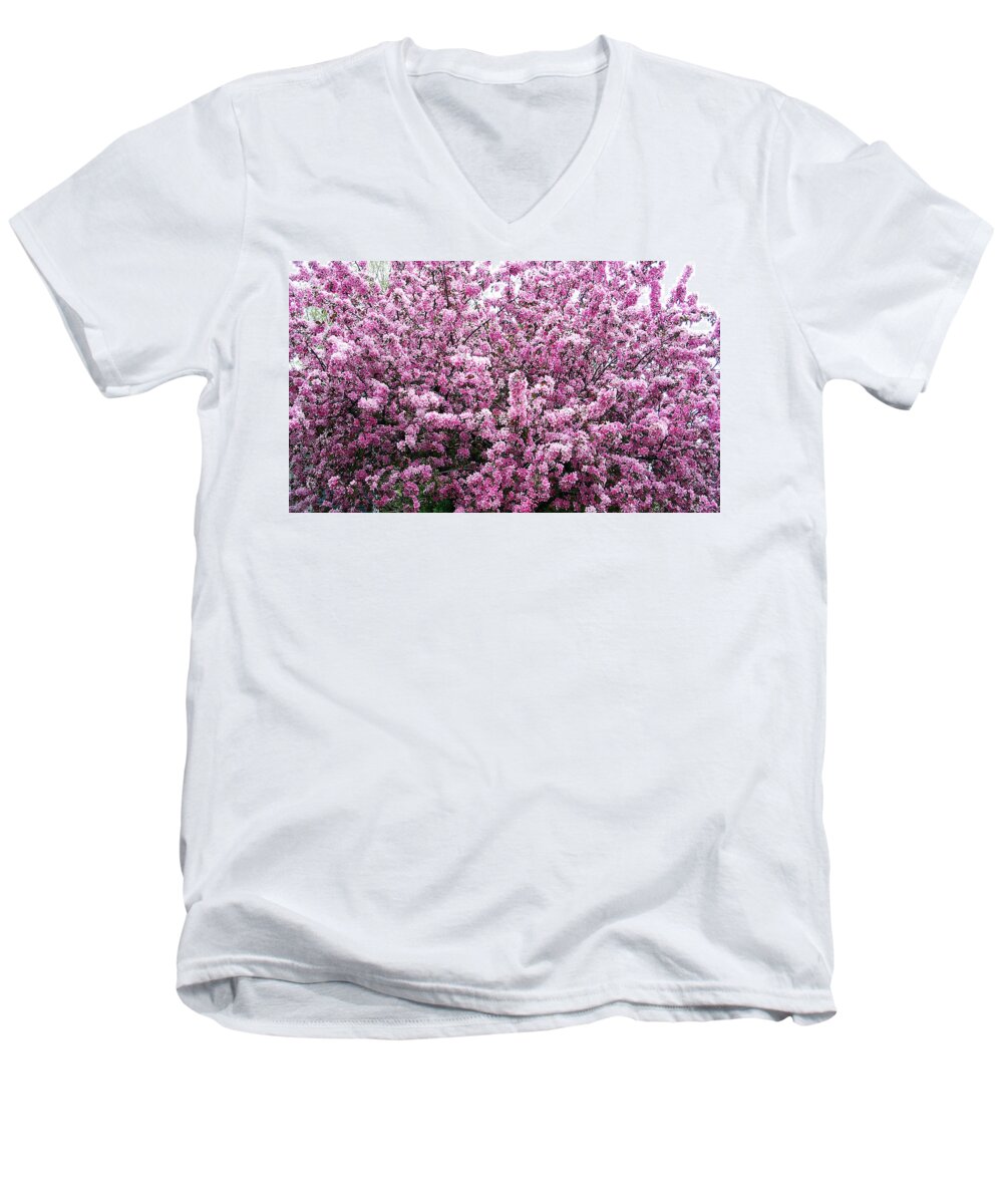 Crab Apple Tree Men's V-Neck T-Shirt featuring the photograph Crab Apple Tree by Aimee L Maher ALM GALLERY