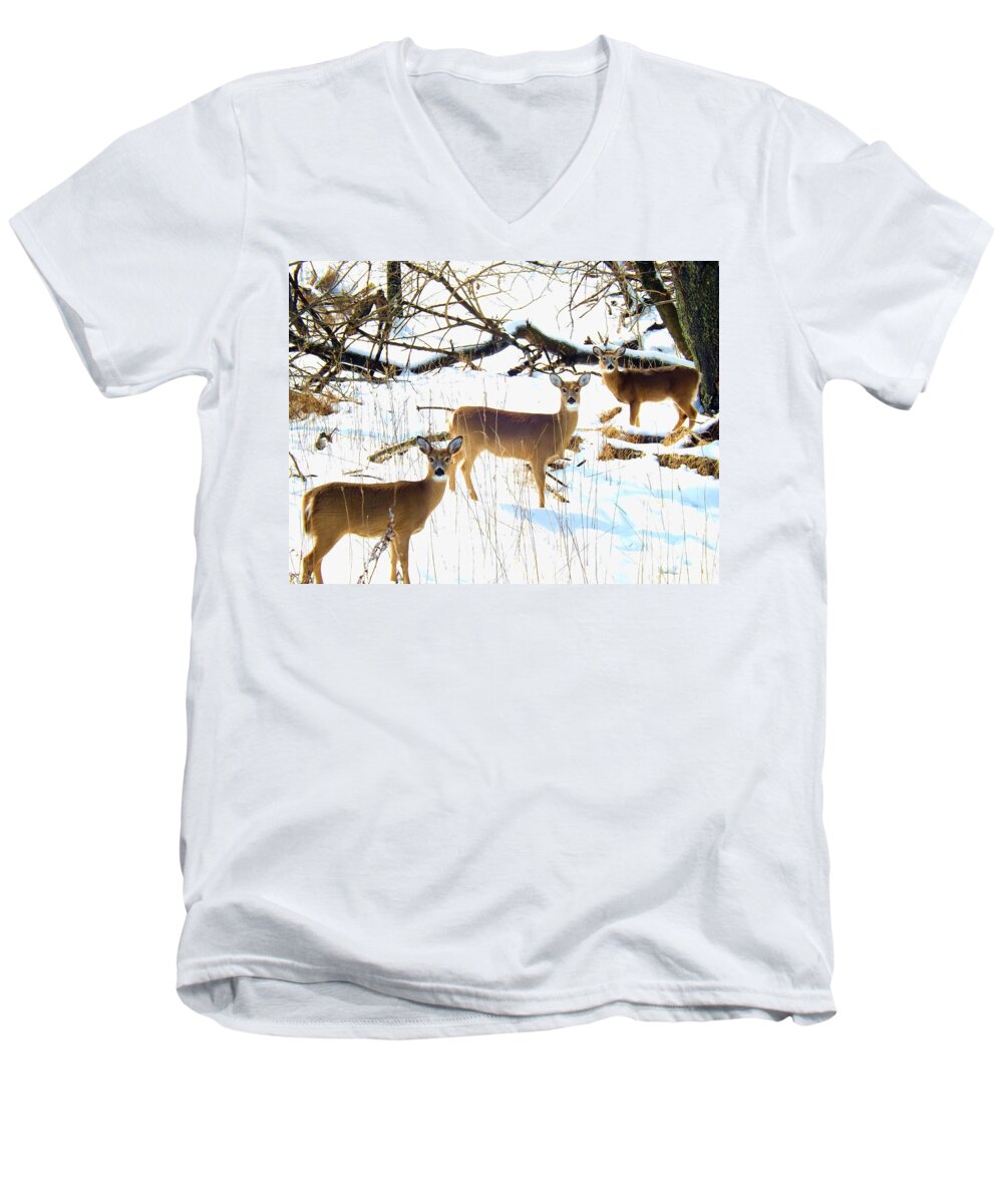 Does Men's V-Neck T-Shirt featuring the photograph Does In The Snow by Robyn King