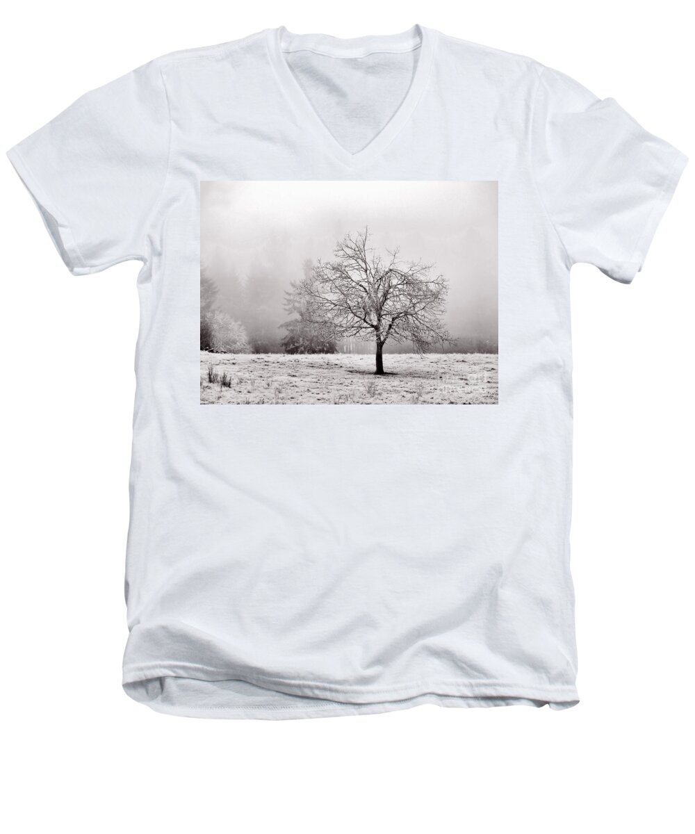 Landscape Men's V-Neck T-Shirt featuring the photograph Dreaming Of Life To Come by Rory Siegel