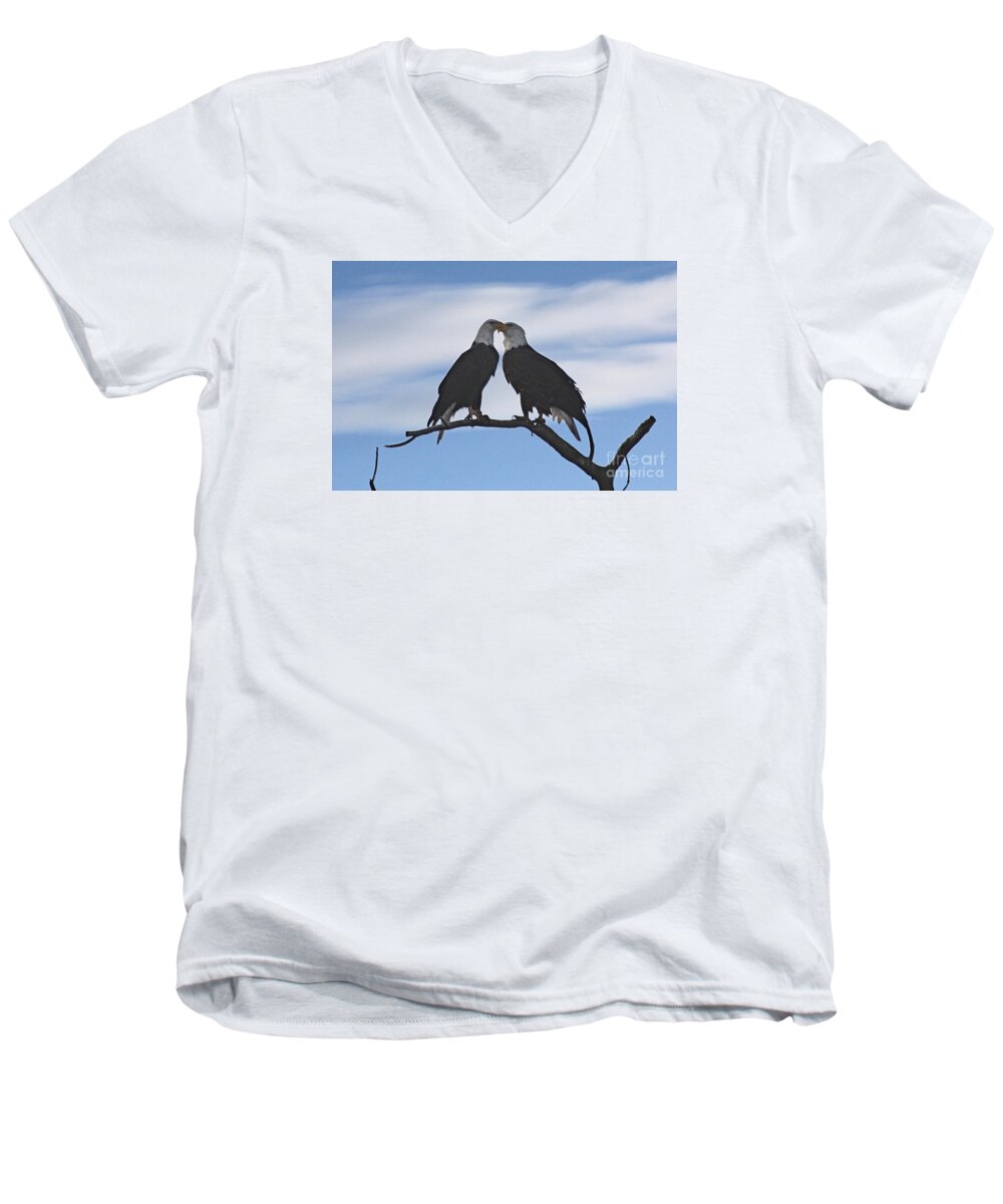 Colorado Men's V-Neck T-Shirt featuring the photograph Eagle Love by Bob Hislop