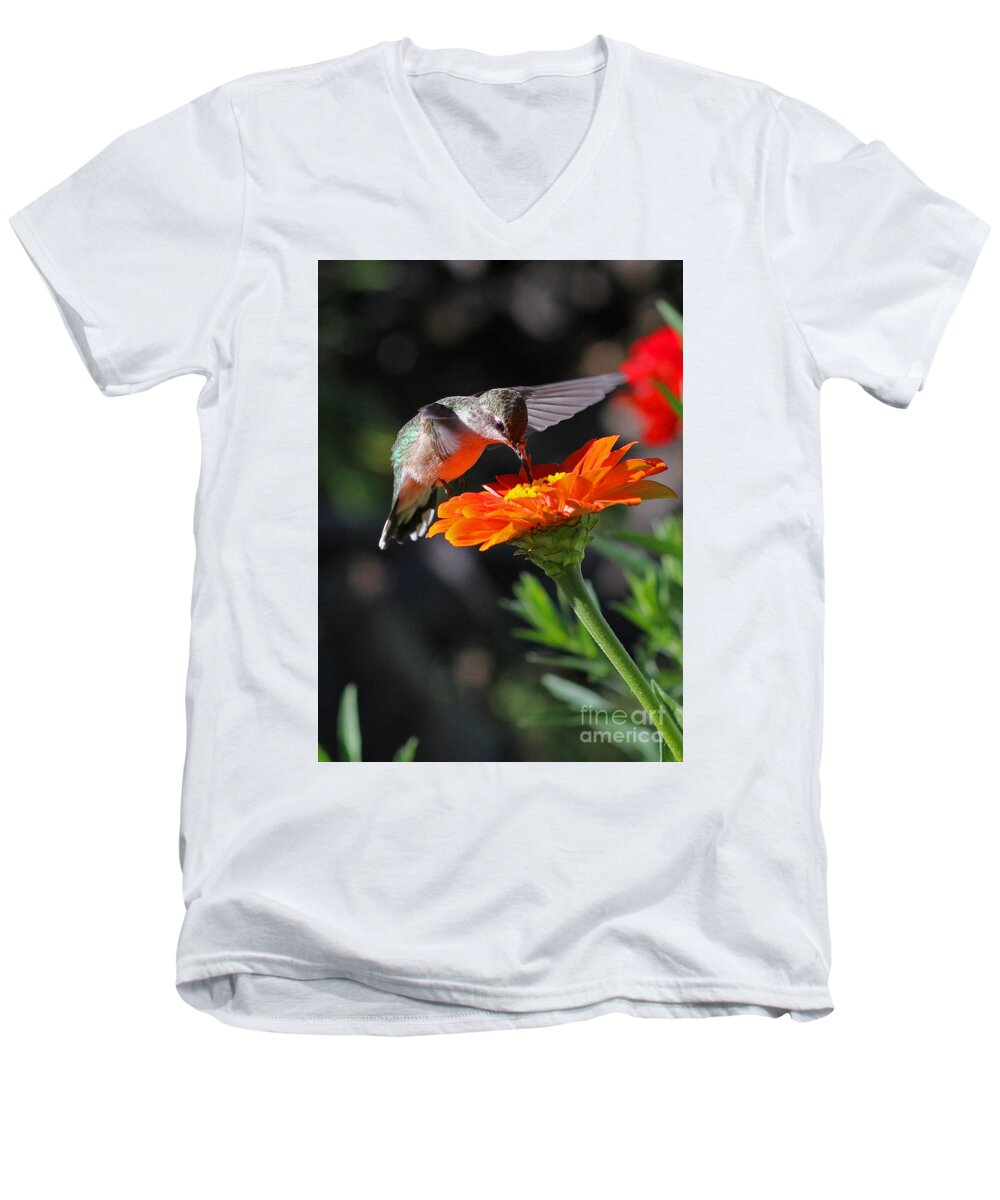 Orange Men's V-Neck T-Shirt featuring the photograph Hummingbird and Zinnia by Steve Augustin