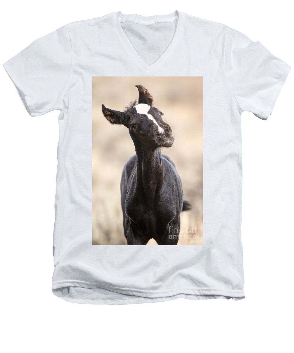 Mustang Men's V-Neck T-Shirt featuring the photograph Lansa - a wild mustang colt by Deby Dixon