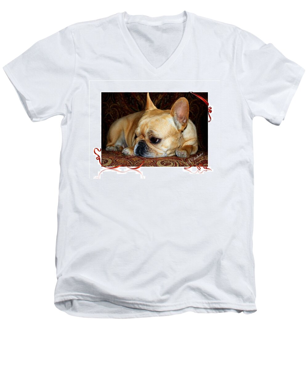 French Bulldog Men's V-Neck T-Shirt featuring the photograph Lazy Paisley Afternoon by Barbara Chichester