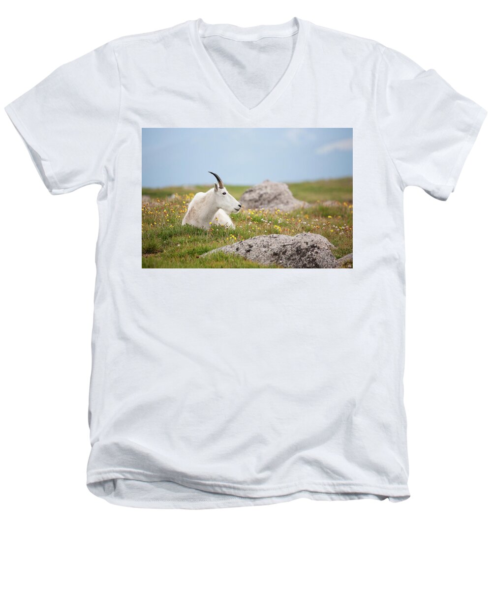 Billie Goat Men's V-Neck T-Shirt featuring the photograph Lie Down in Green Pastures by Jim Garrison