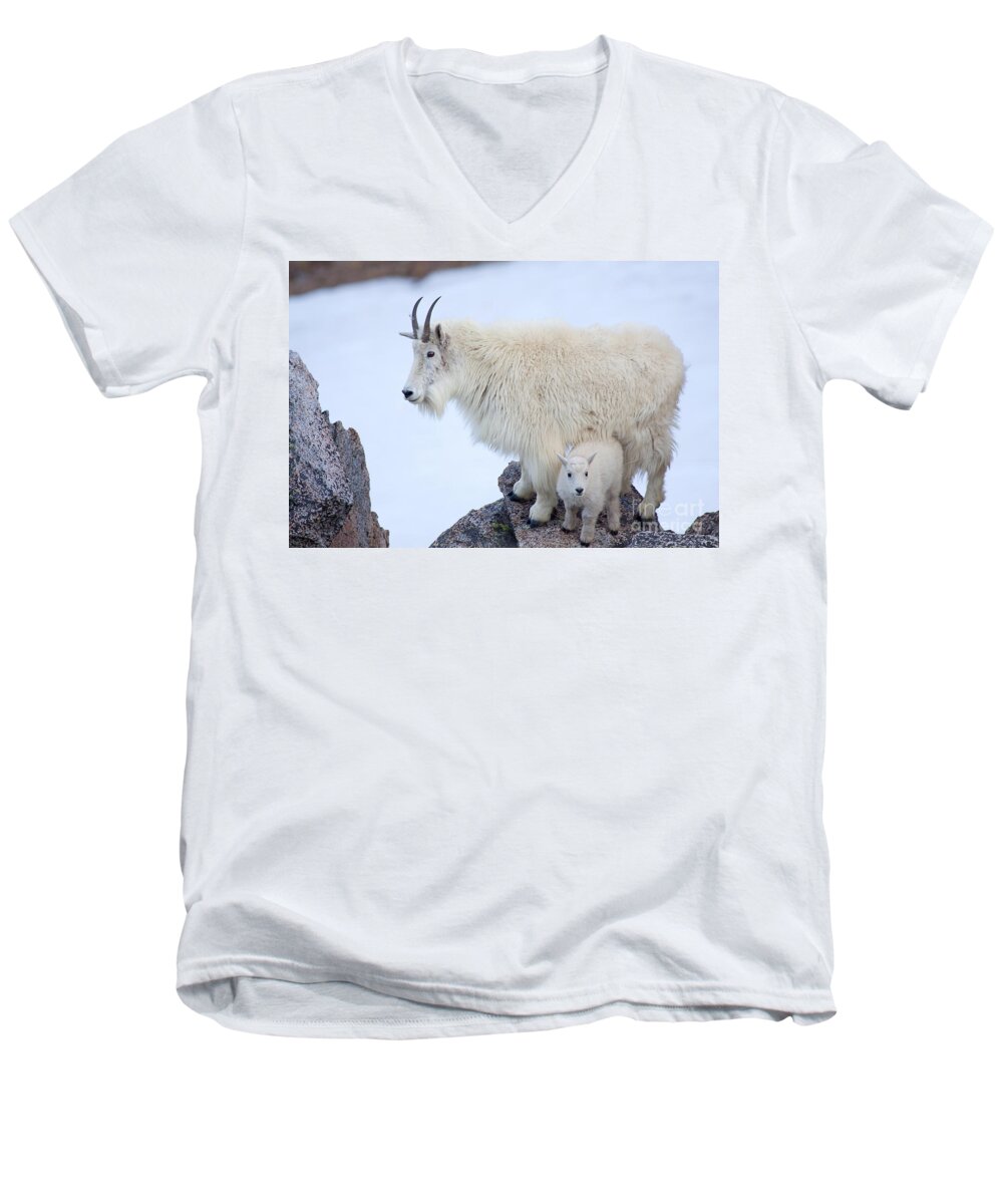 Mountain Goats Men's V-Neck T-Shirt featuring the photograph Me and Mom by Jim Garrison