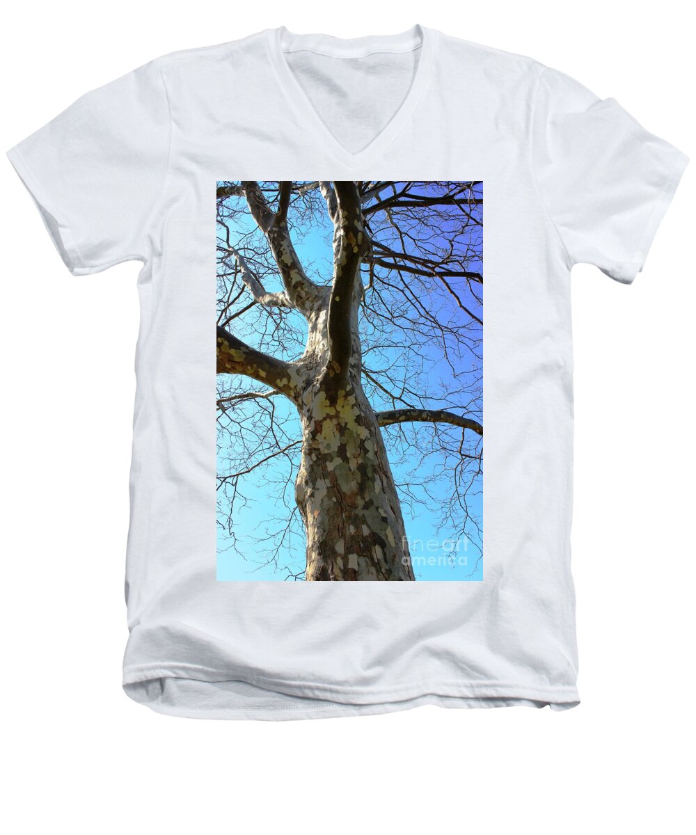 Tree Men's V-Neck T-Shirt featuring the photograph Natures Art Work - Patch Work by Judy Palkimas