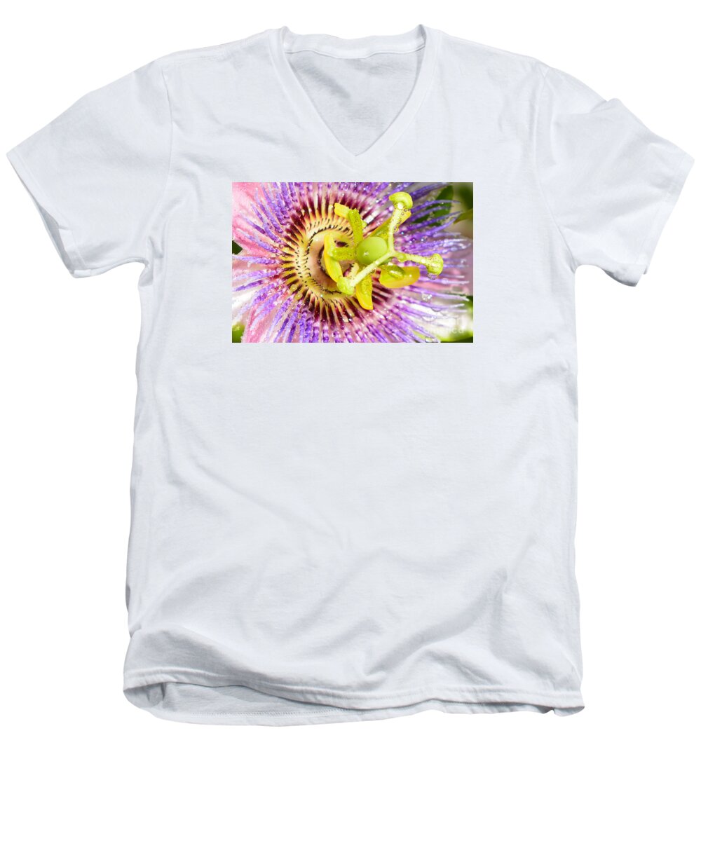 Passiflora Men's V-Neck T-Shirt featuring the photograph Passiflora The Passion Flower by Olga Hamilton