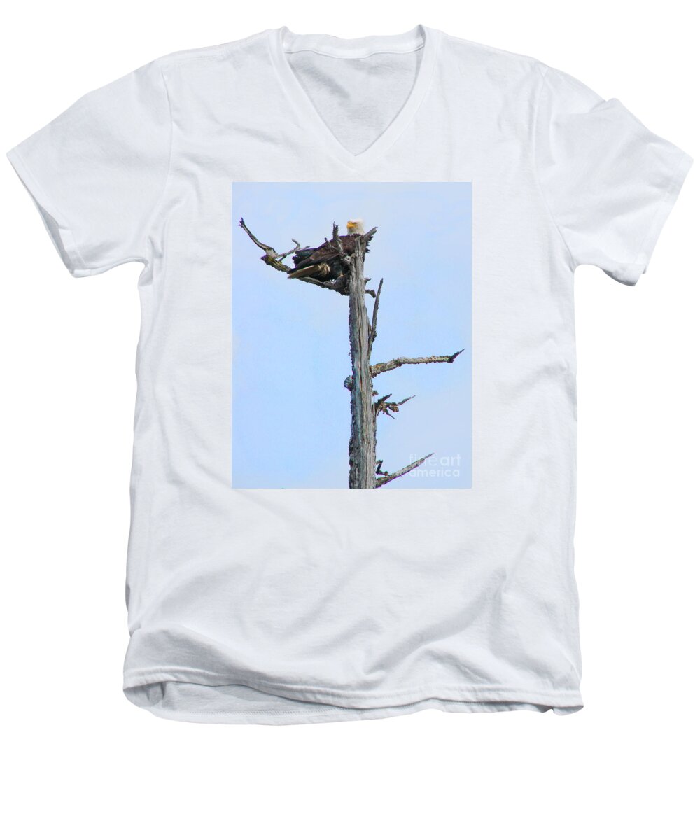 Eagle Men's V-Neck T-Shirt featuring the photograph Perched Eagle by Vivian Martin