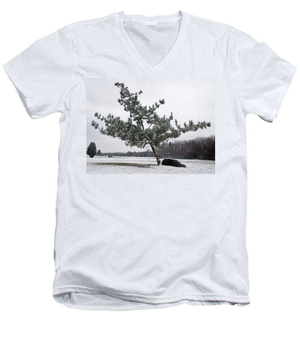 Virginia Pine Men's V-Neck T-Shirt featuring the photograph Pine Tree by Melinda Fawver