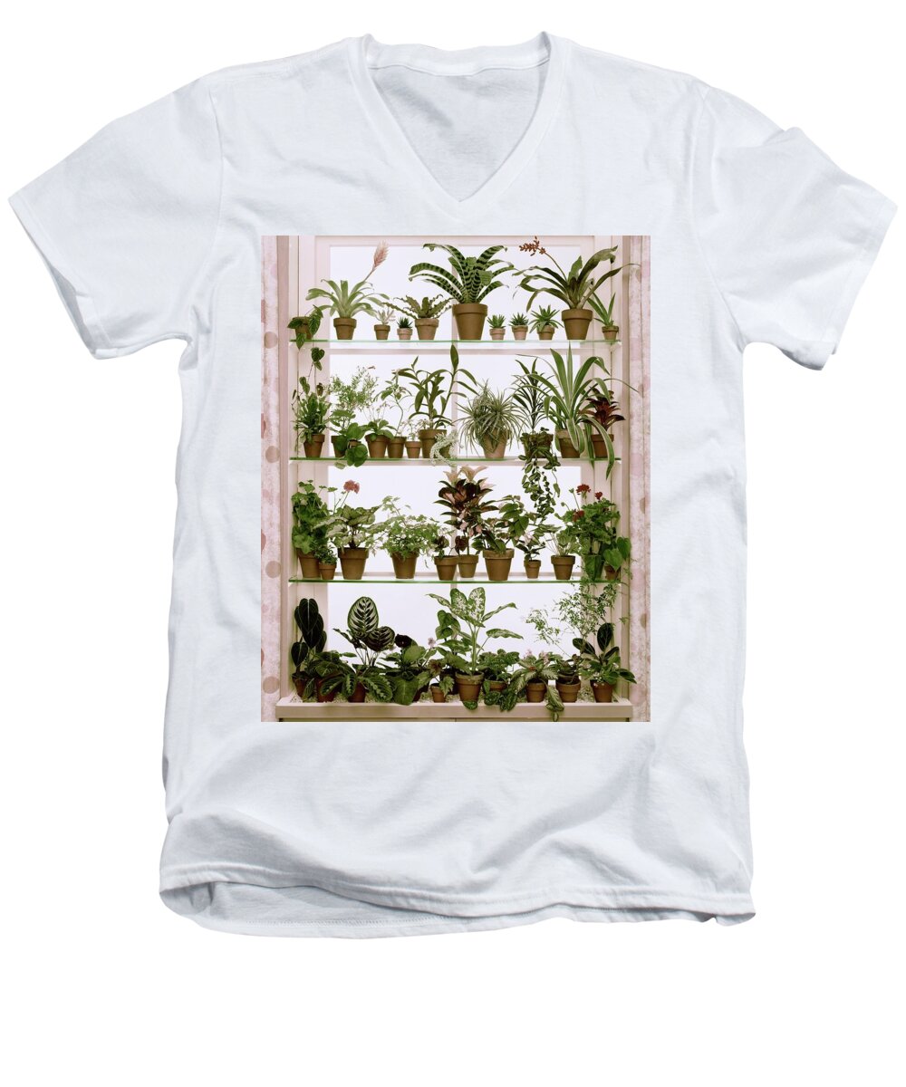 Plants Men's V-Neck T-Shirt featuring the photograph Potted Plants On Shelves by Wiliam Grigsby