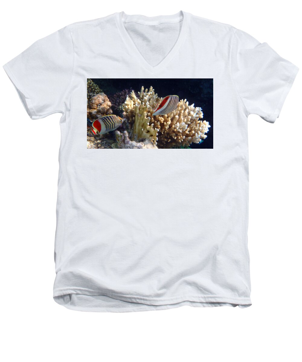Sea Men's V-Neck T-Shirt featuring the photograph Red Sea Beauty 2 by Johanna Hurmerinta