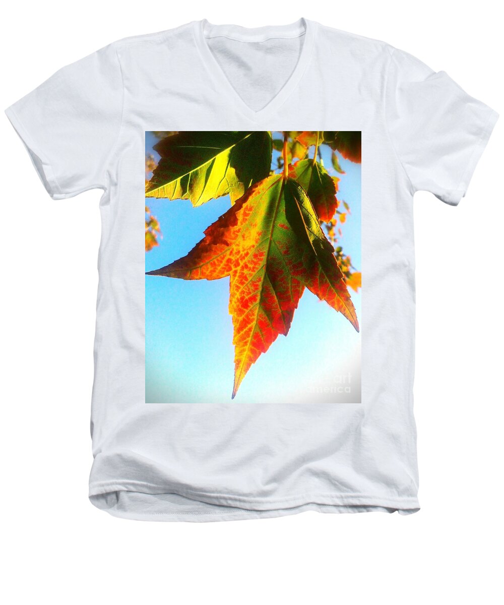 Leaf Men's V-Neck T-Shirt featuring the photograph Season's Change by James Aiken