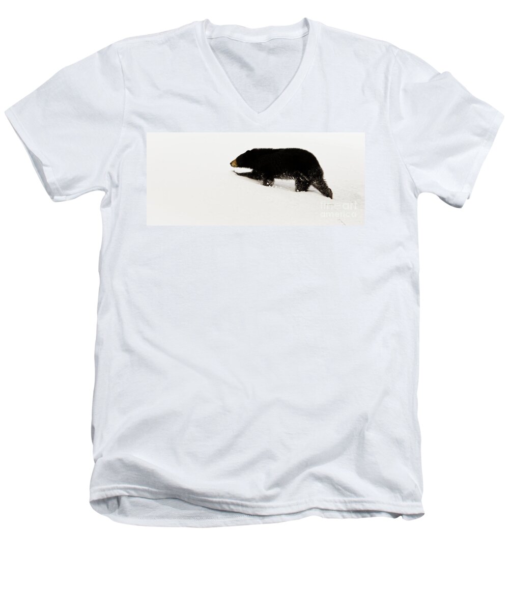 Bear Men's V-Neck T-Shirt featuring the photograph Snowy Bear by Jan Killian
