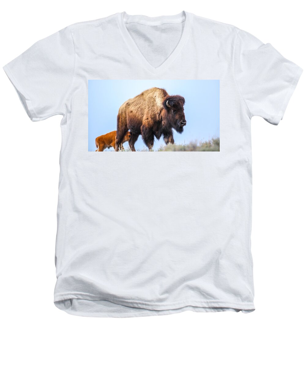 Big Horn Sheep Men's V-Neck T-Shirt featuring the photograph Staying Close by Kevin Dietrich