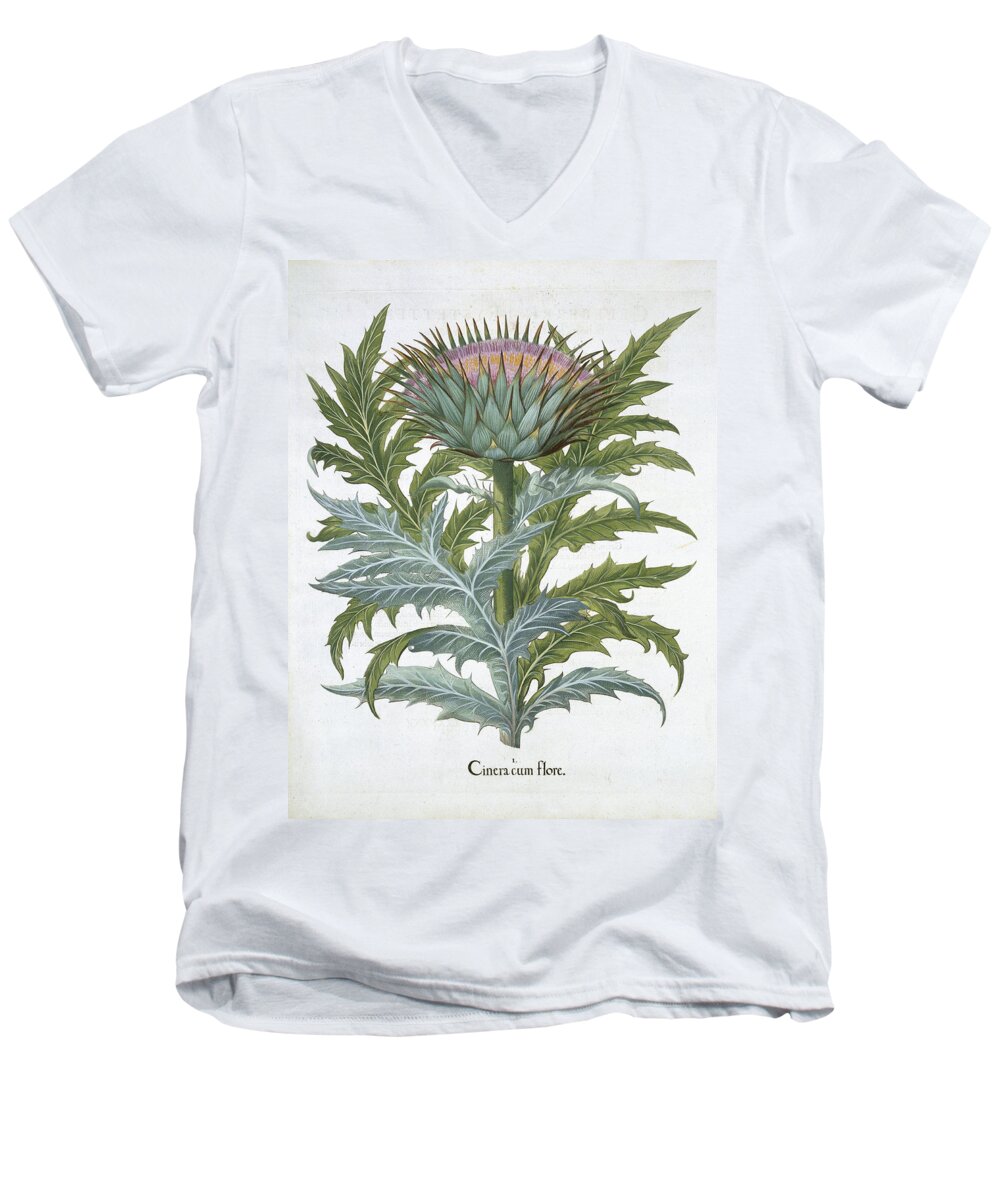 Cynara Cardunclus Men's V-Neck T-Shirt featuring the drawing The Cardoon, From The Hortus by German School