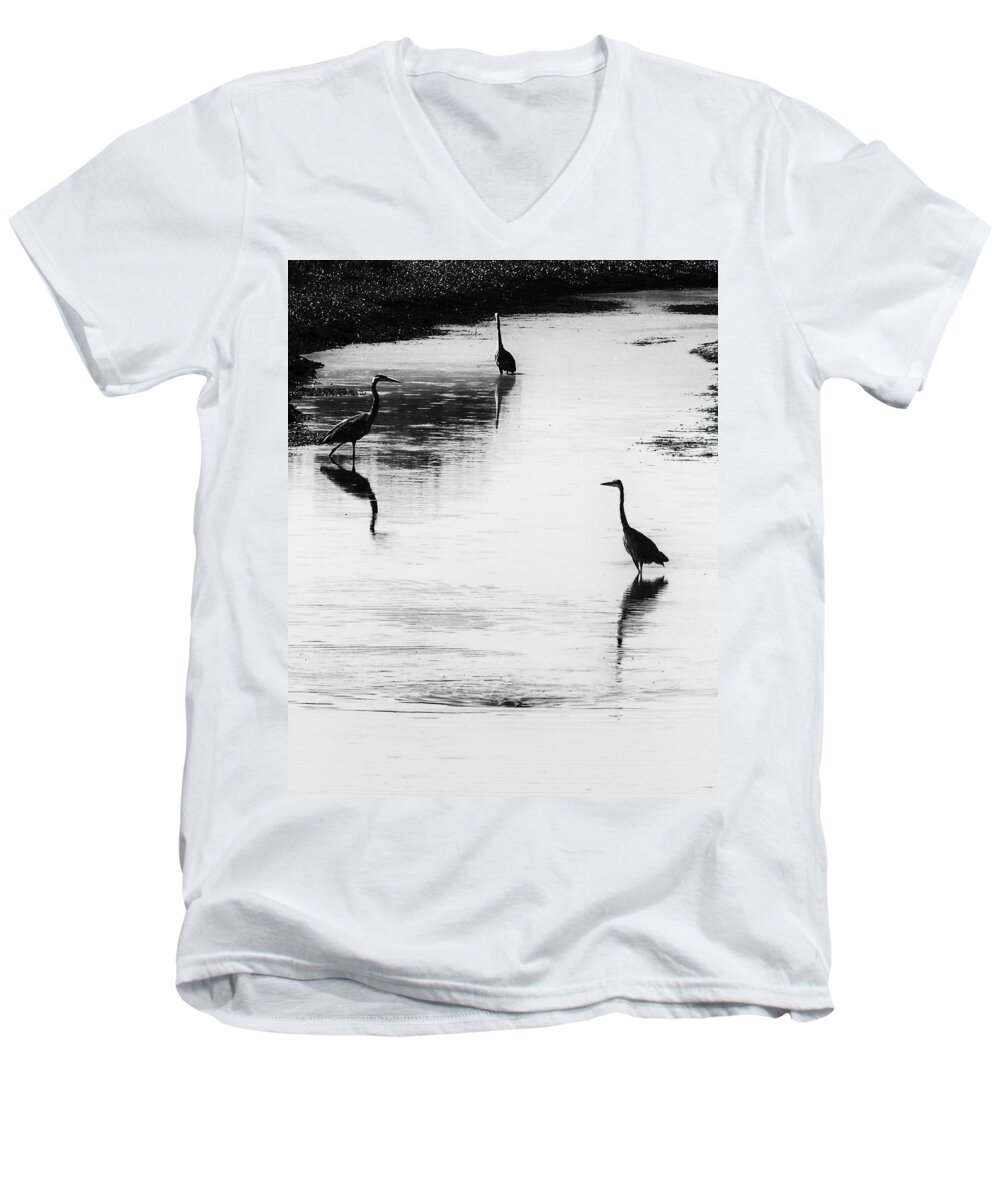 Great Blue Heron Men's V-Neck T-Shirt featuring the photograph Trilogy - Black and White by Belinda Greb
