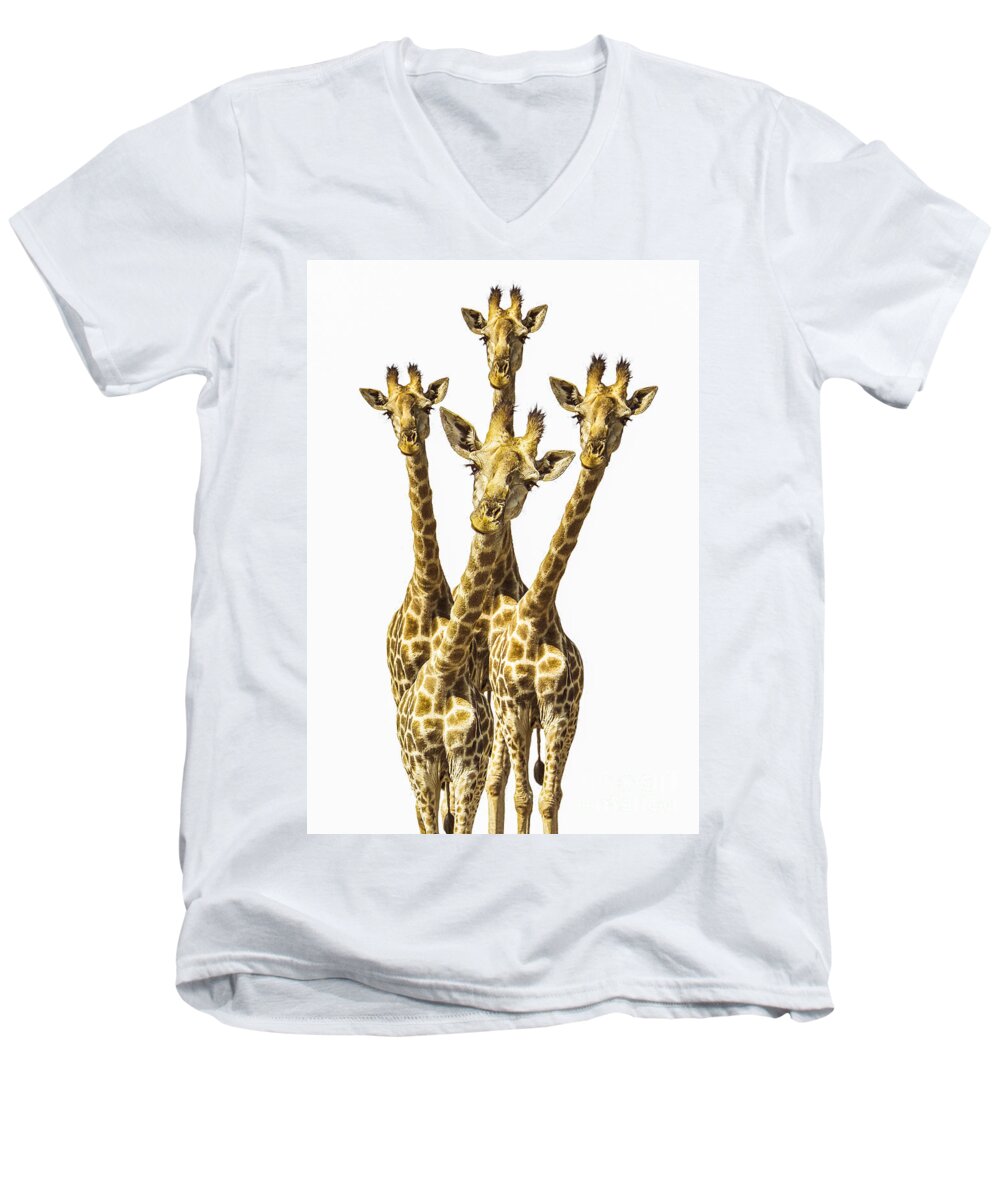 Giraffe Men's V-Neck T-Shirt featuring the photograph What are YOU looking at? by Diane Diederich