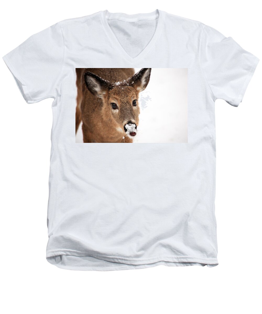 Deer Men's V-Neck T-Shirt featuring the photograph White On The Nose by Karol Livote