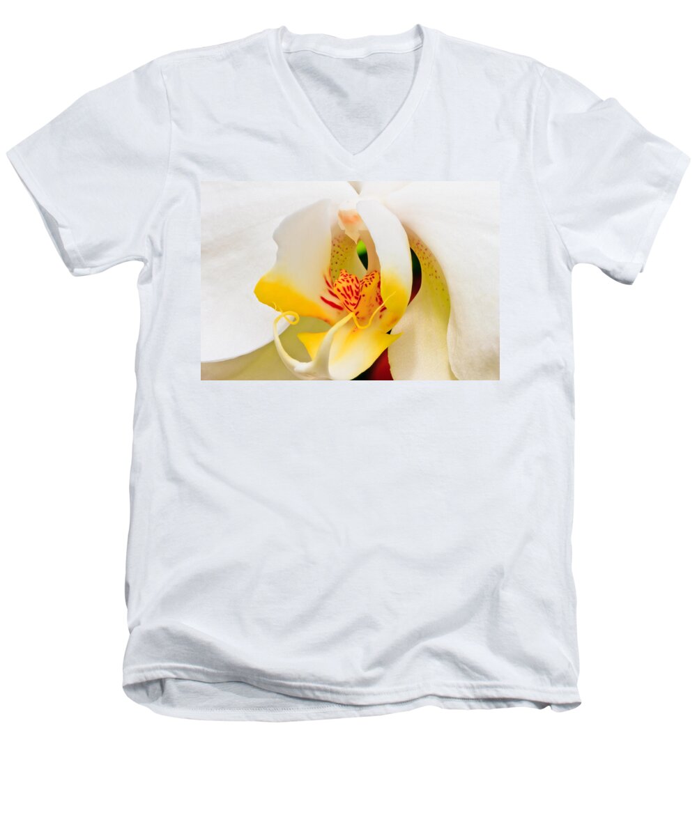 Orchid Men's V-Neck T-Shirt featuring the photograph White Orchid by Ben Graham