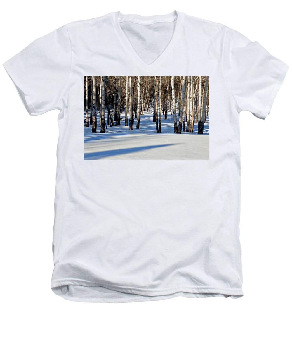 Aspen Trees Men's V-Neck T-Shirt featuring the photograph Winter Aspens by Jack Bell