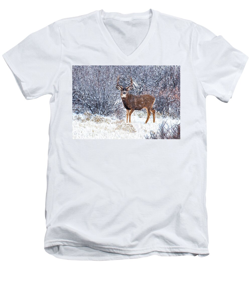  River Men's V-Neck T-Shirt featuring the photograph Winter Buck by Darren White