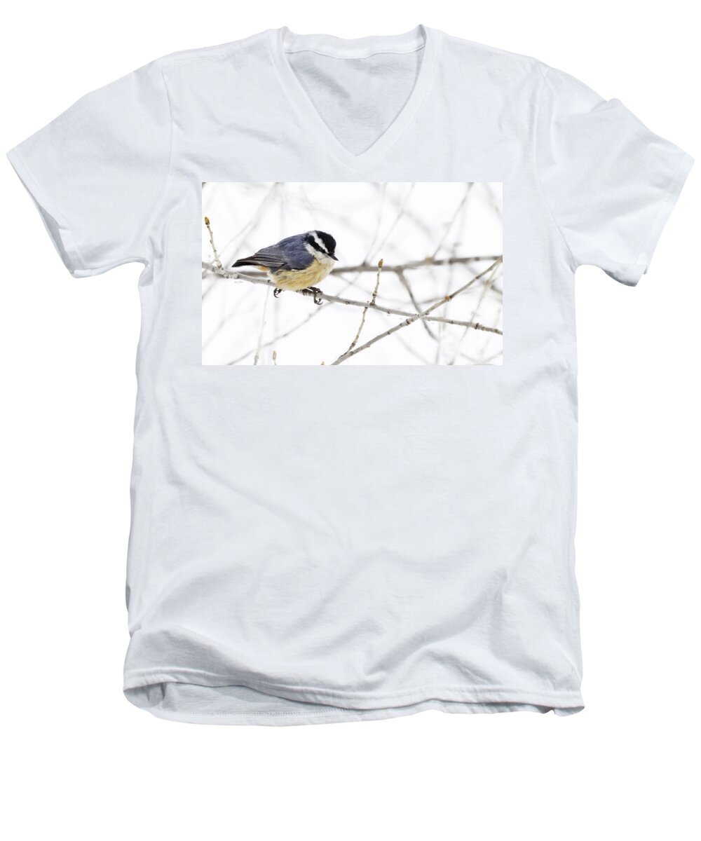 Nuthatch Men's V-Neck T-Shirt featuring the photograph Winter Day by Jan Killian
