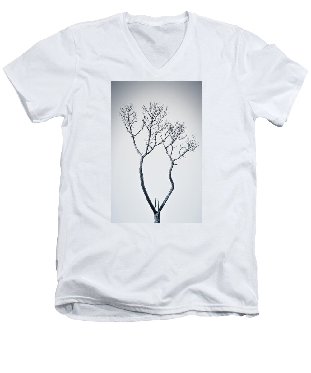 Tree Men's V-Neck T-Shirt featuring the photograph Wishbone Tree by Carolyn Marshall