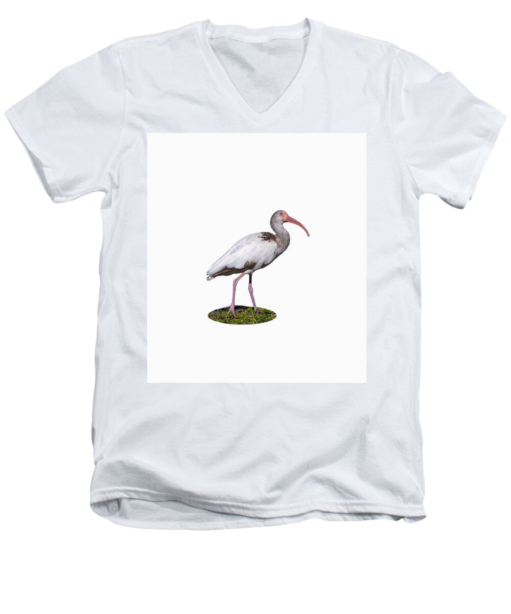 Bird Men's V-Neck T-Shirt featuring the photograph Young Ibis Gazing Upwards by John M Bailey
